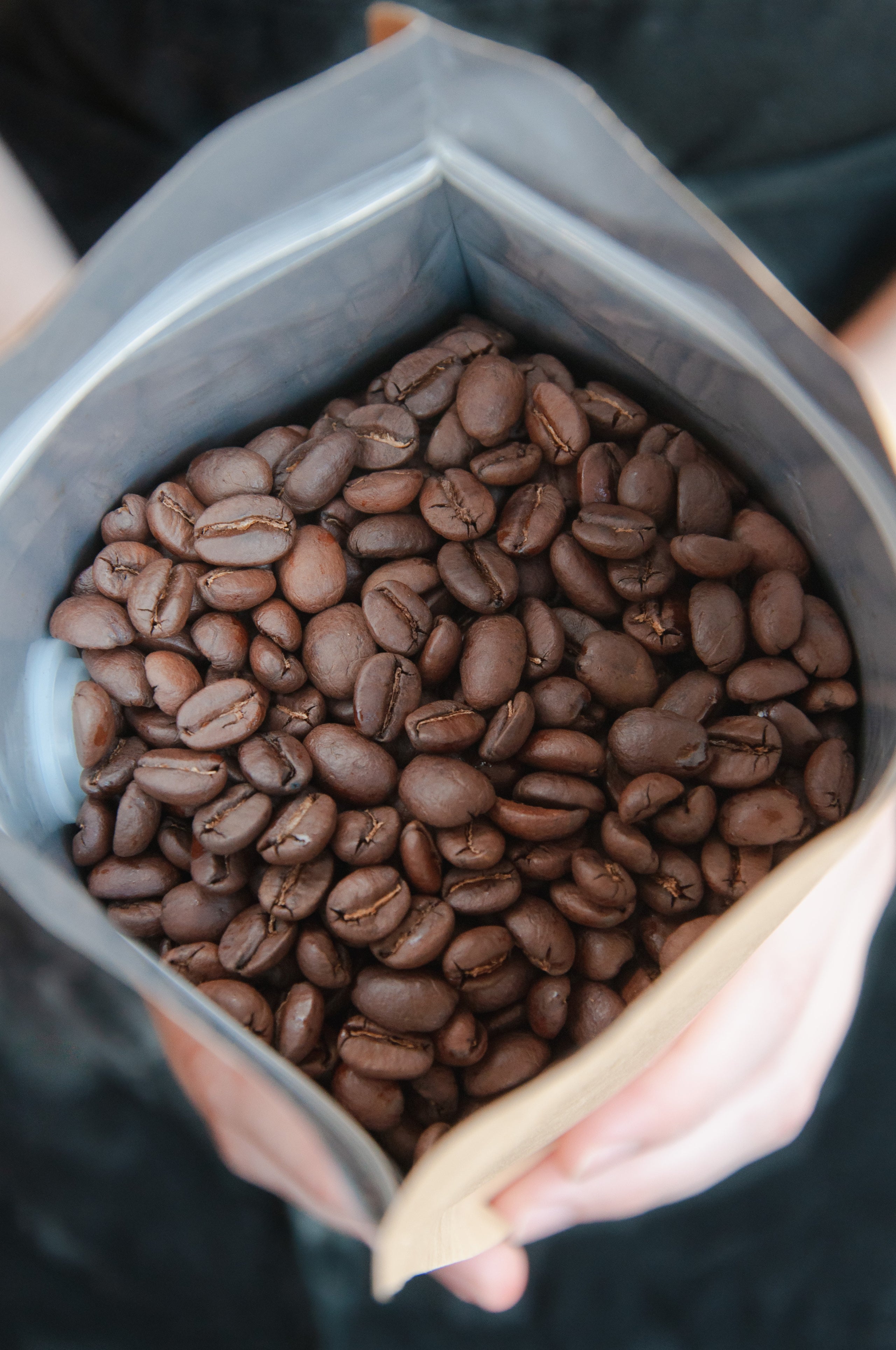 Medium Roast Whole Beans Fuel Coffee Shop